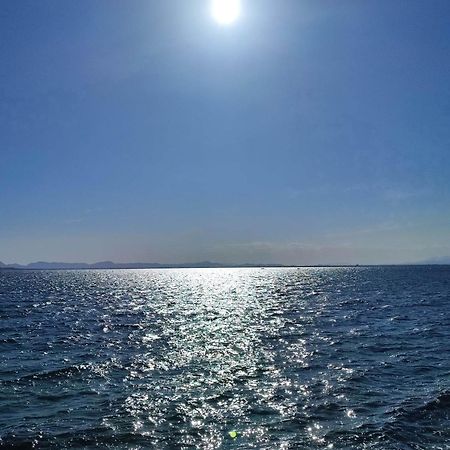 Apartamento Cerca De La Playa La Mata ลามาตา ห้อง รูปภาพ